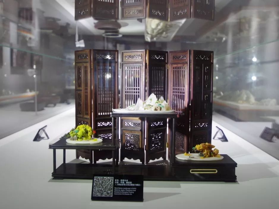 上海盆景博物馆:咫尺天地竟蕴含了整个植物宇宙