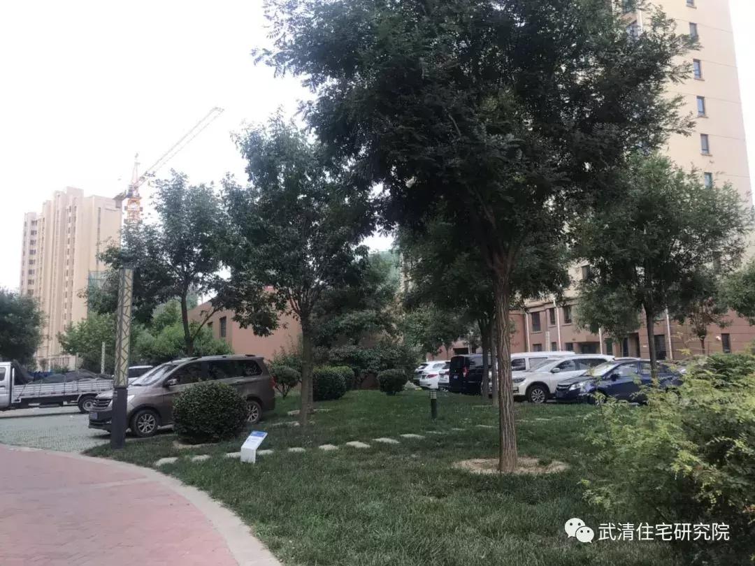 天津市大妈买菜,小区买菜大妈