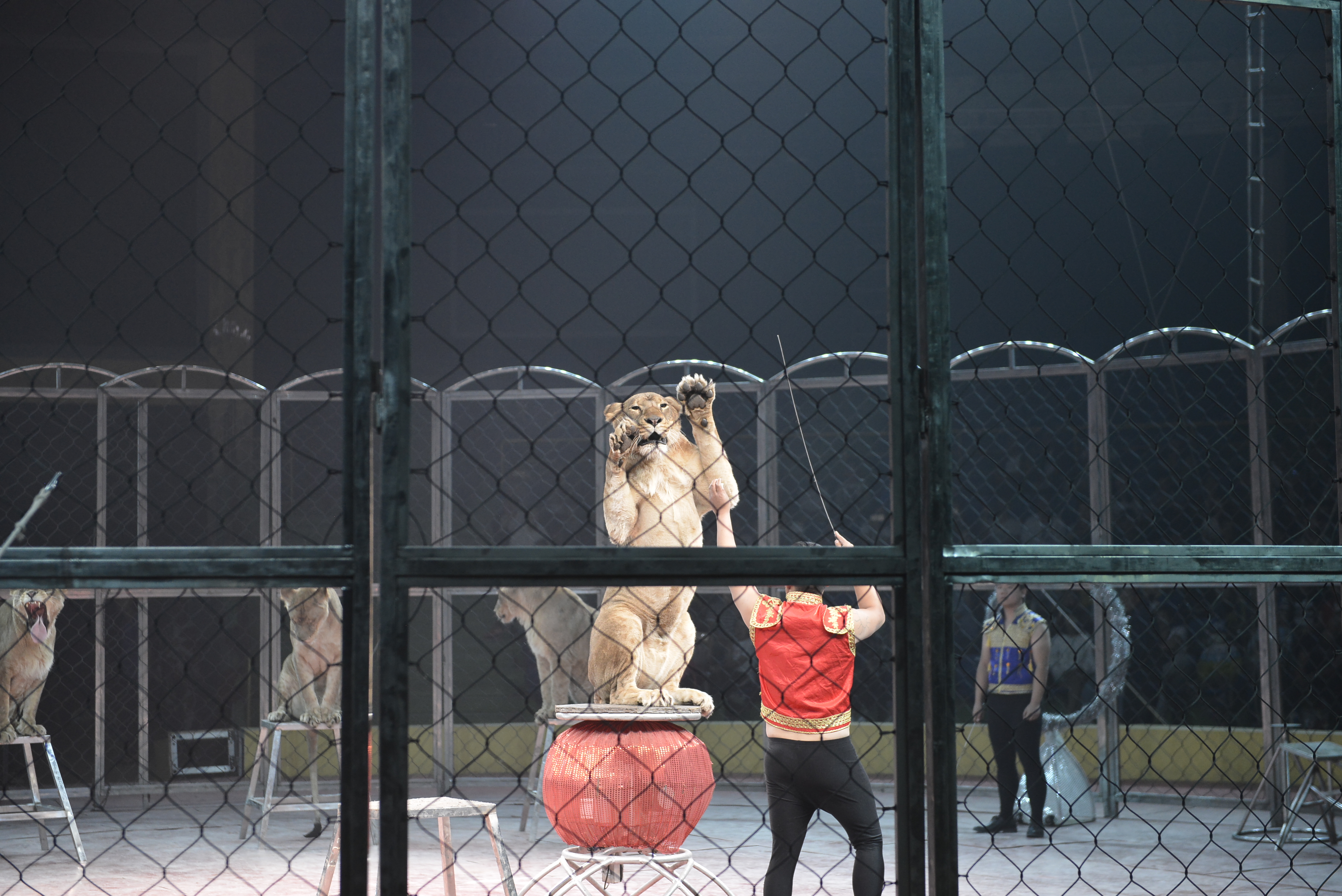 最近小长假,小长假里的最新消息