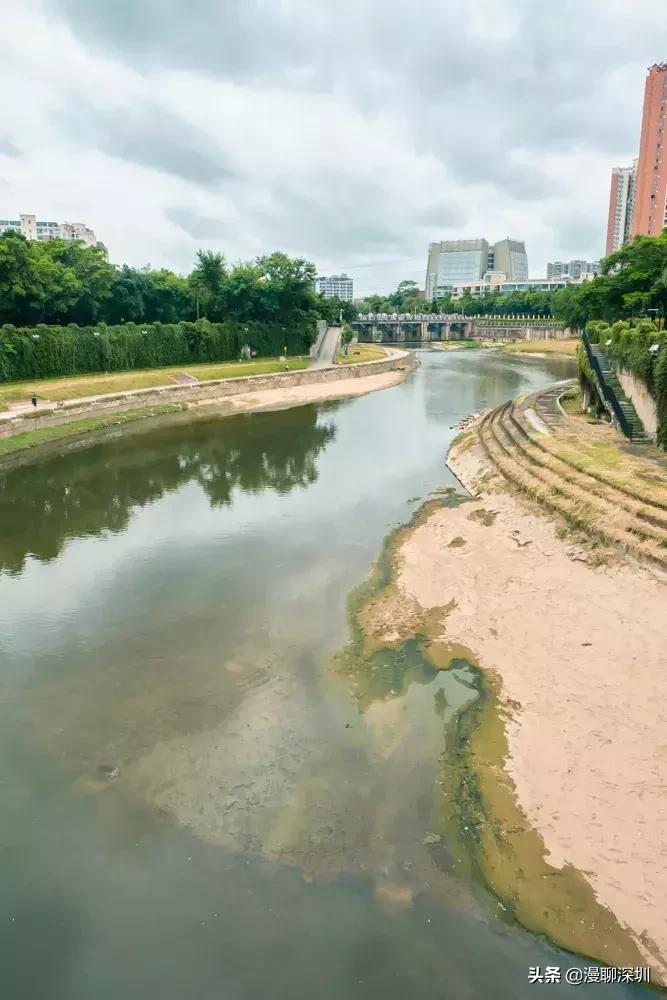 行走深圳歌曲,深圳观澜攻略