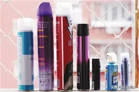 盆栽飞虫怎么杀,盆栽小黑飞虫怎么治