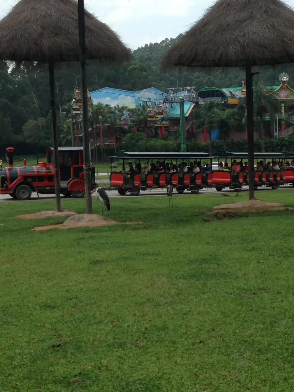 广州长隆野生动物园最全游玩攻略,长隆野生动物园游玩攻略