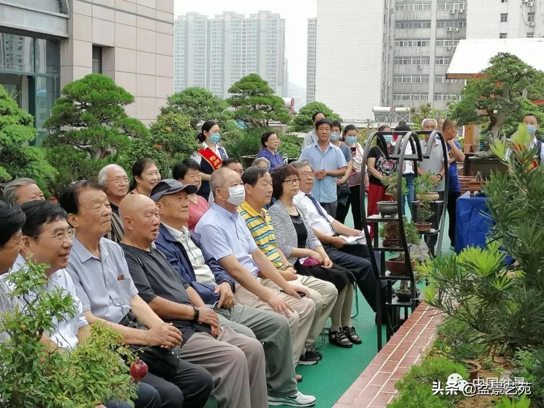 涓浗钁楀悕鐩嗘櫙澶у笀绮惧搧鐩嗘櫙,鐩嗘櫙鑹烘湳瀹跺拰鐩嗘櫙鑹烘湳澶у笀