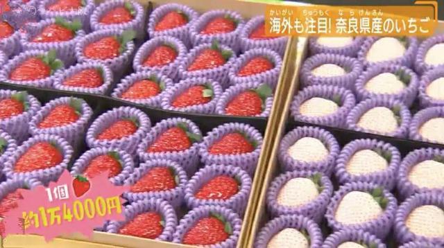 孕妇买草莓被婆婆和老公斥责 (孕妇买天价草莓)