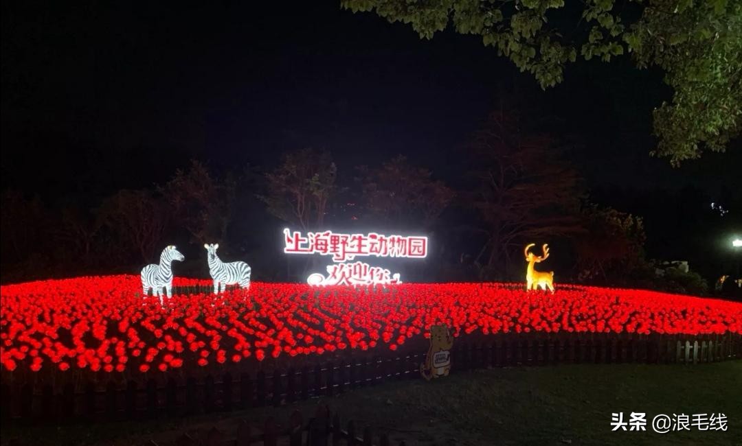 夜上海魔都在哪里,夜上海在哪里玩