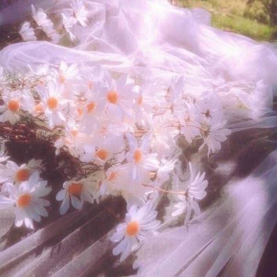 有趣的锁骨千篇一律,好看有趣的锁骨