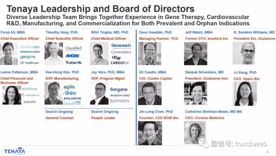 基因疗法相关上市公司,tenaris公司