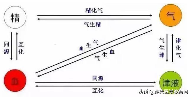 中医基础理论完整版,中医基础理论精华版李烁