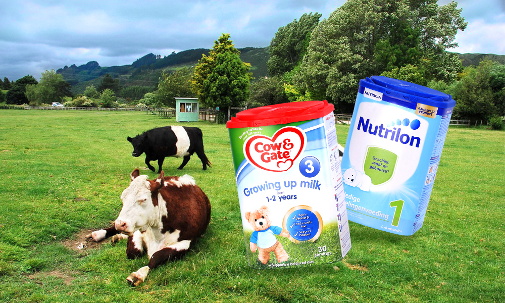 英国牛栏奶粉和荷兰牛栏的区别,香港牛栏英国牛栏荷兰牛栏奶粉