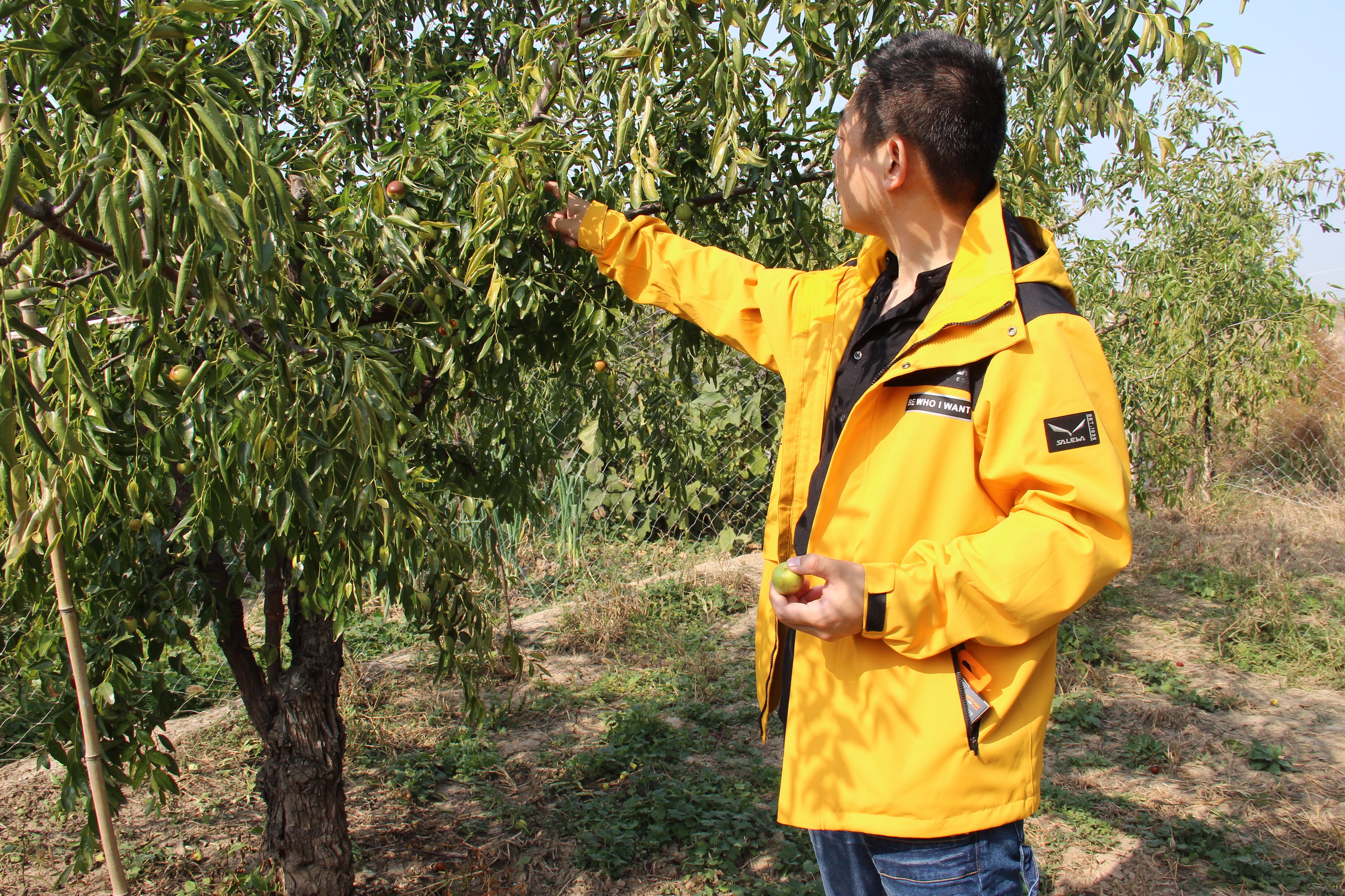 沙乐华冲锋衣高清图片,沙乐华冲锋衣怎么样