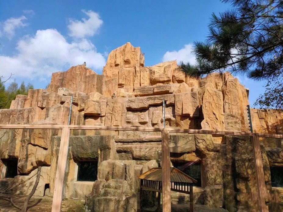 今起东北虎园大门票半价!近百种珍稀动物,带你走进现实版动物世界!