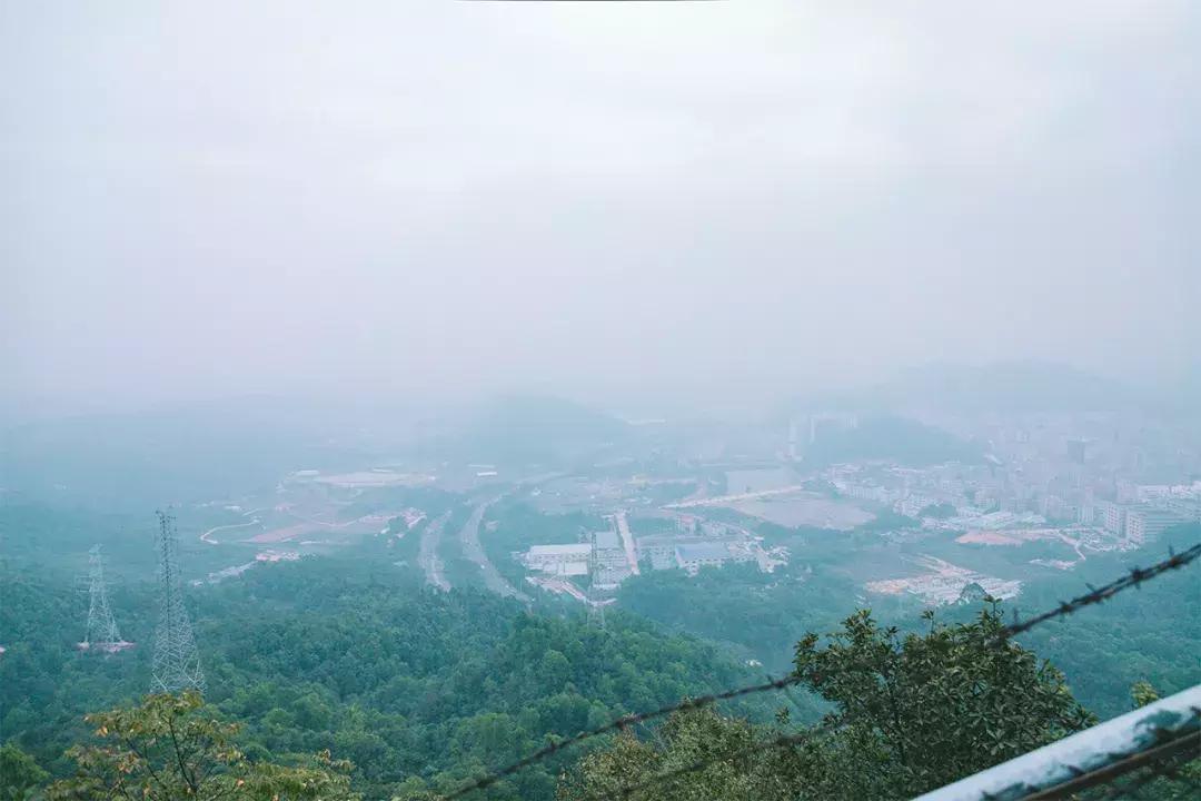 深圳这座城市很美,深圳这座城市风景太美了