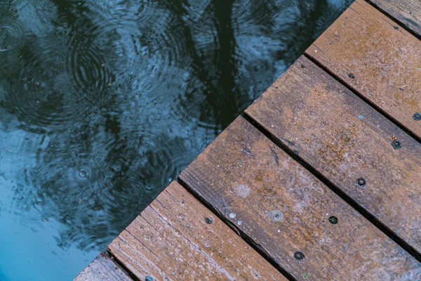 踏春赏花正当时，打卡千垛水上油菜花！玩转兴化景点美食全攻略