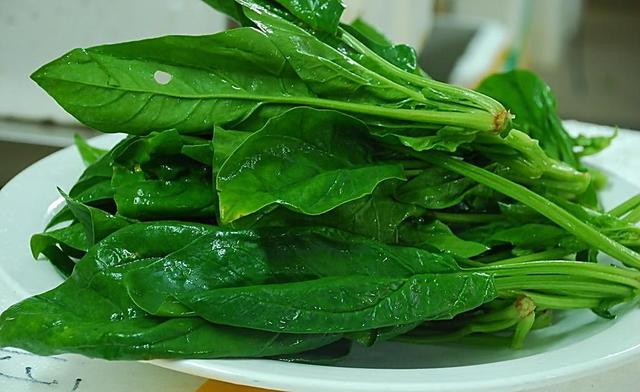 菠菜怎么做没有土腥味儿,菠菜常见的十种做法