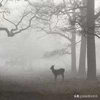 怎么从头像中看出一个人性格,从头像了解一个人的性格