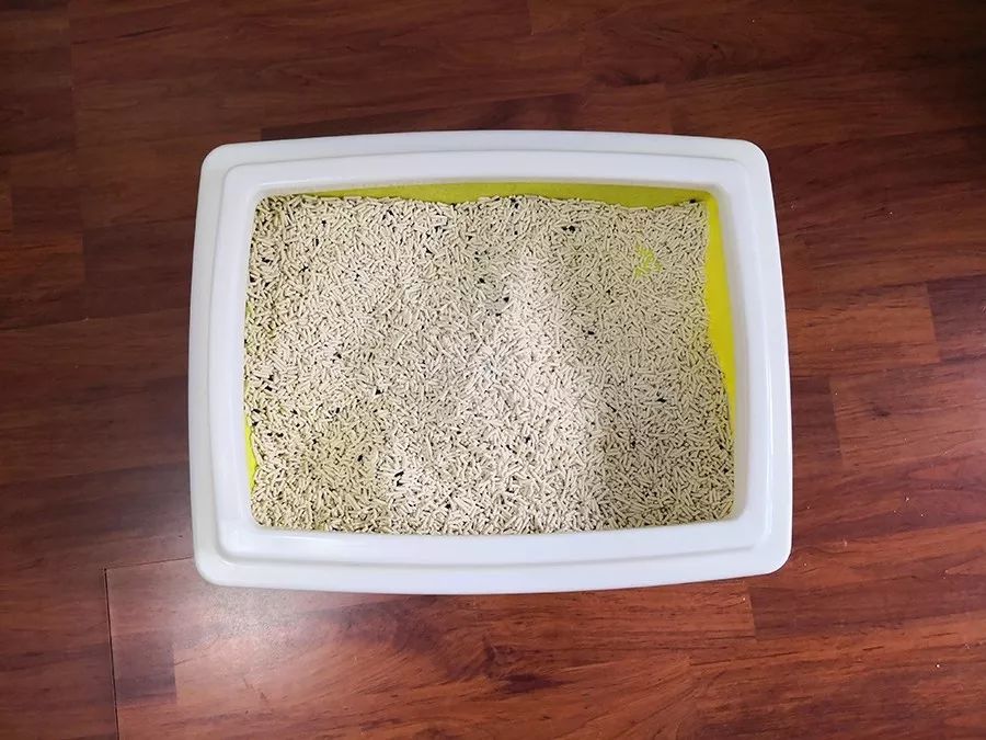 什么牌子的豆腐猫砂除臭好,强力除臭猫砂测评