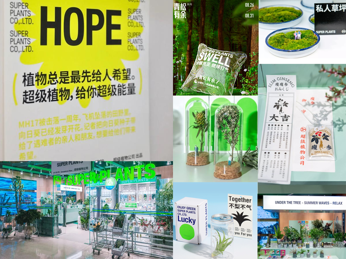 15000字深度——「新果饮」九大趋势和创新想象