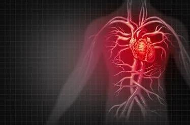 血液透析患者的八大注意事项,血液透析中低血压的预防与治疗