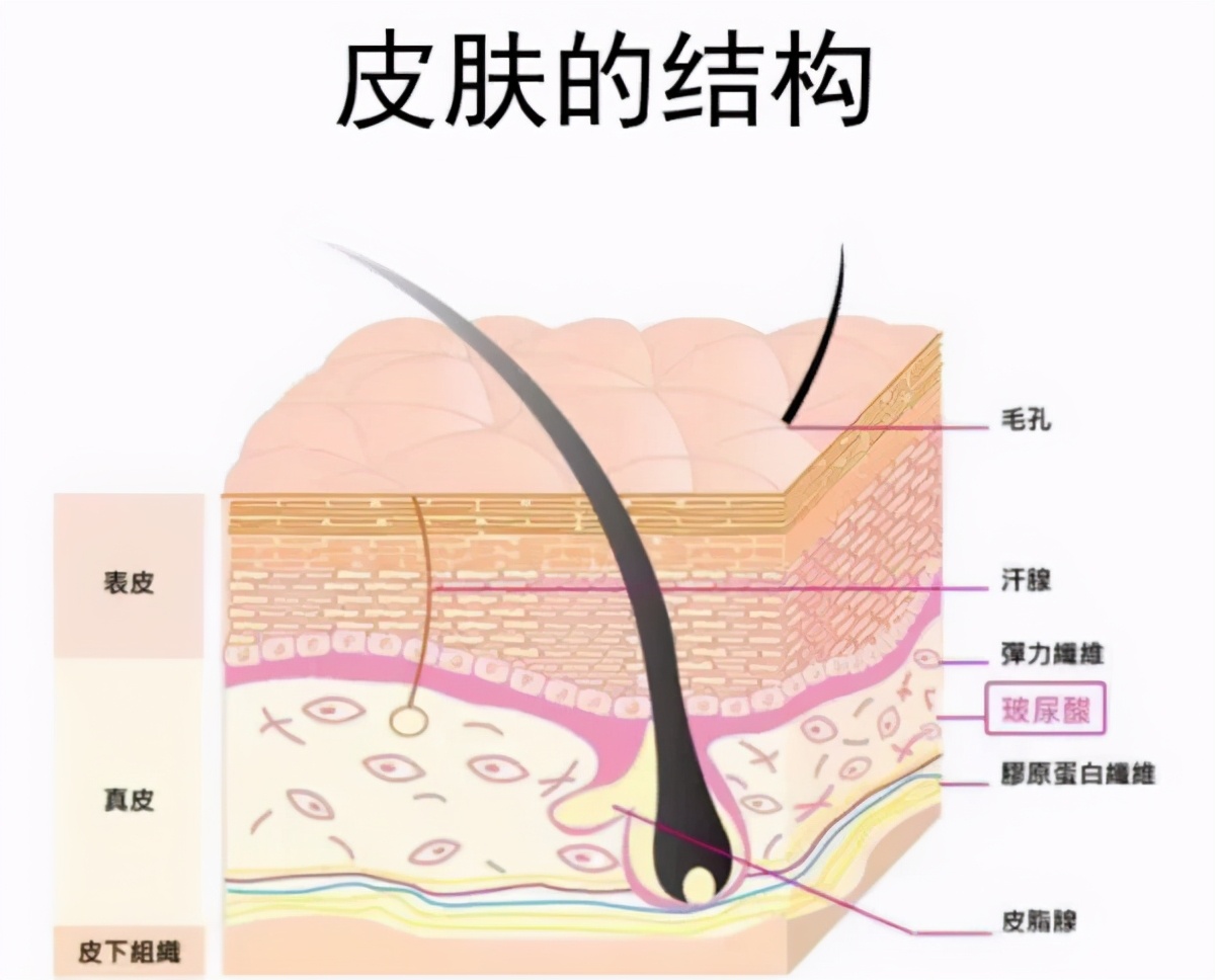 护肤品的使用顺序及功效作用,不同功效的护肤品应该怎么使用