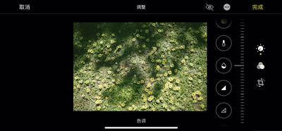 iphone手机的小隐藏小功能,iphone最实用系统