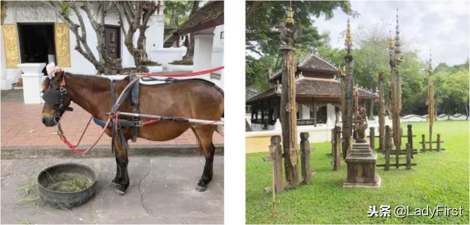 清迈旅行推荐酒店,别样的风情