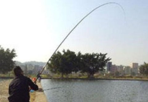 野钓如何选鱼竿的调性,鱼竿调性是什么意思