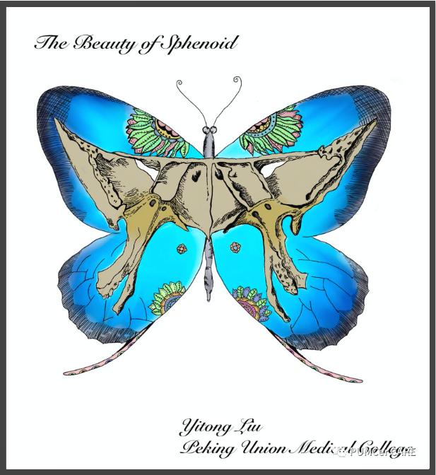 灵魂画手已出炉,灵魂画手来了图片