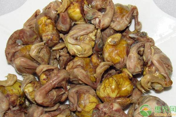 毛鸡蛋成本多少,毛蛋多少钱