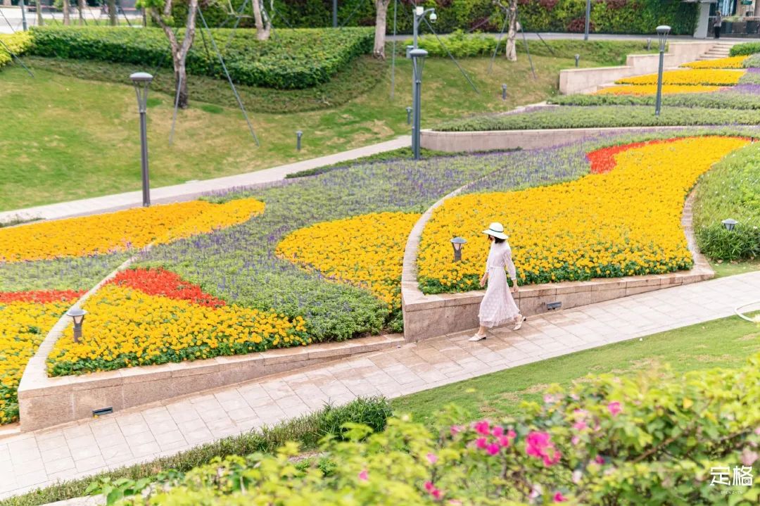 深圳人少的海滨公园,深圳滨海公园怎么样