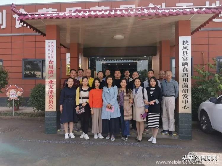 赴一场春日的邀约,五月赴一场与槐花的约会