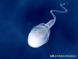 精子质量差偏方,精子不合格中药可以补回来吗