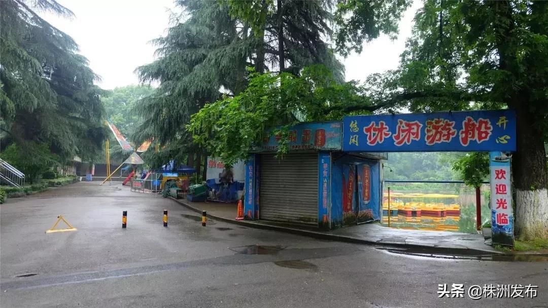 春日大自然美景视频,春日公园游玩美图视频