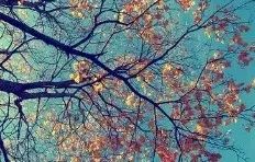 尊严教育,对孩子的教育是人生最大的回报