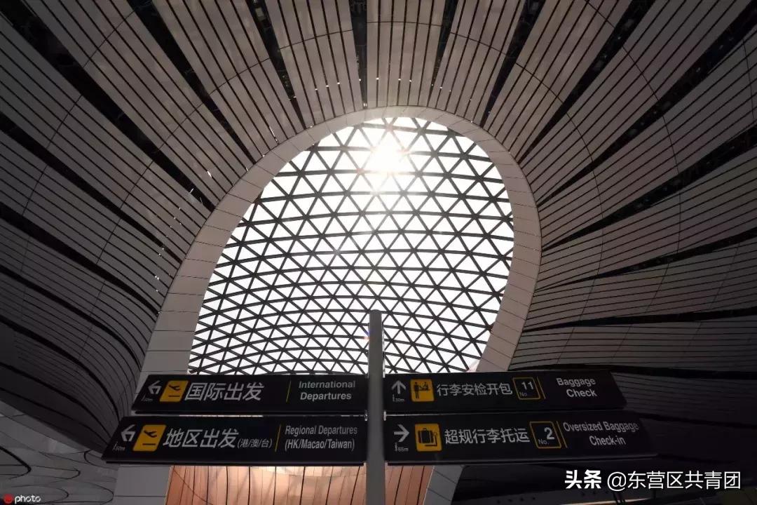 这也太牛了赞,这也太努力了表情包