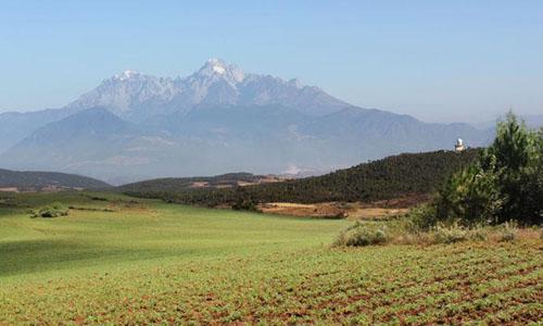 玛咖的正确吃法大全,玛卡怎么吃效果好