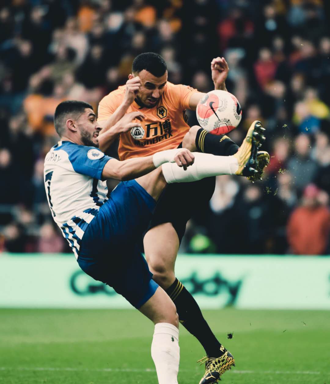 周三003英足总杯狼队vs布莱顿推荐,狼队vs布莱顿1.4