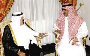 苏联特工微声手枪,苏联特工使用的小手枪