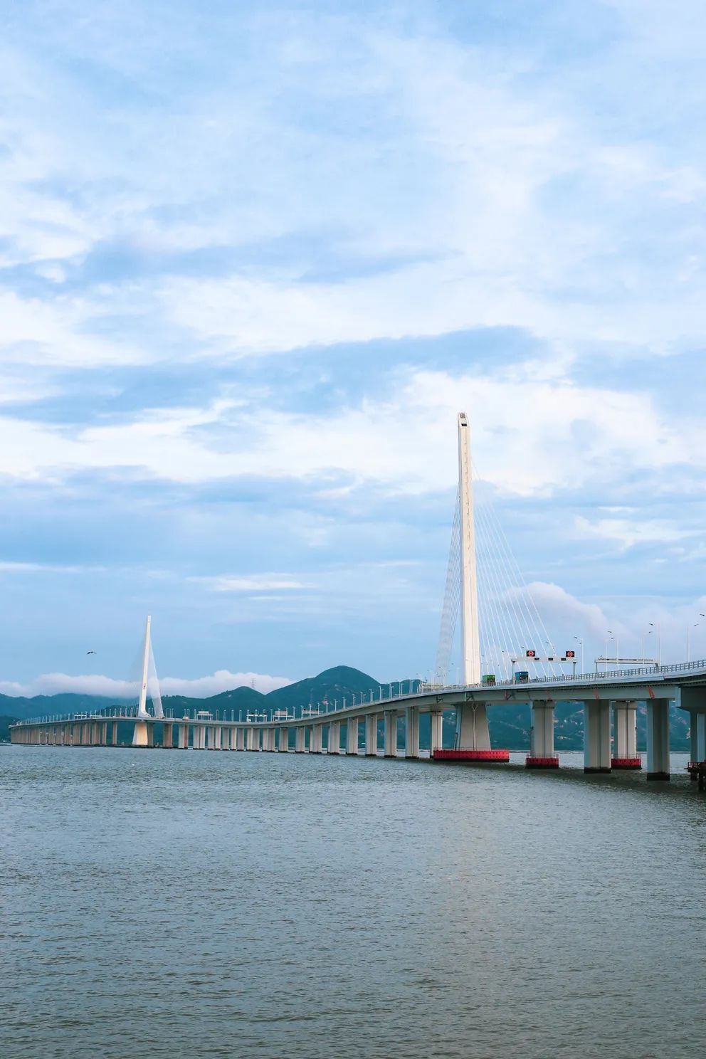 测评深圳湾,我直接被房租劝退