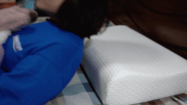 真正的羽绒枕头多少钱,羽绒枕价格差距为什么那么大