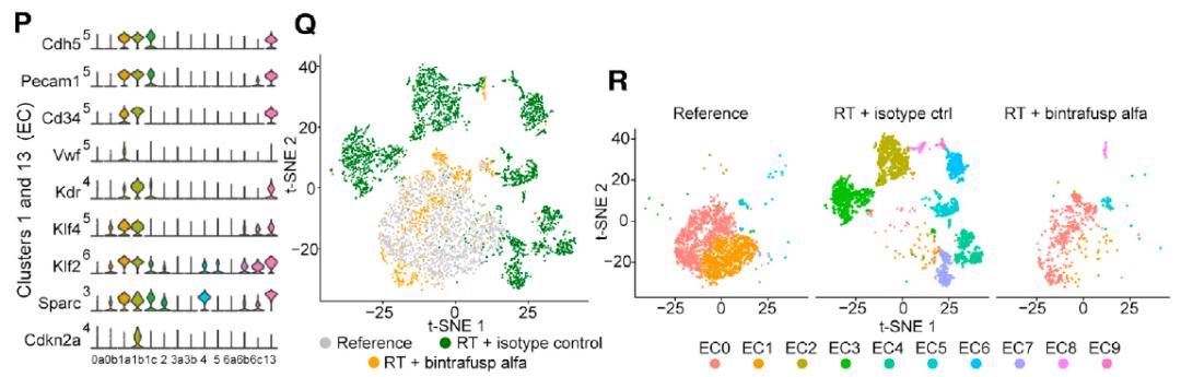 放疗brt,放疗后pd-1防复发