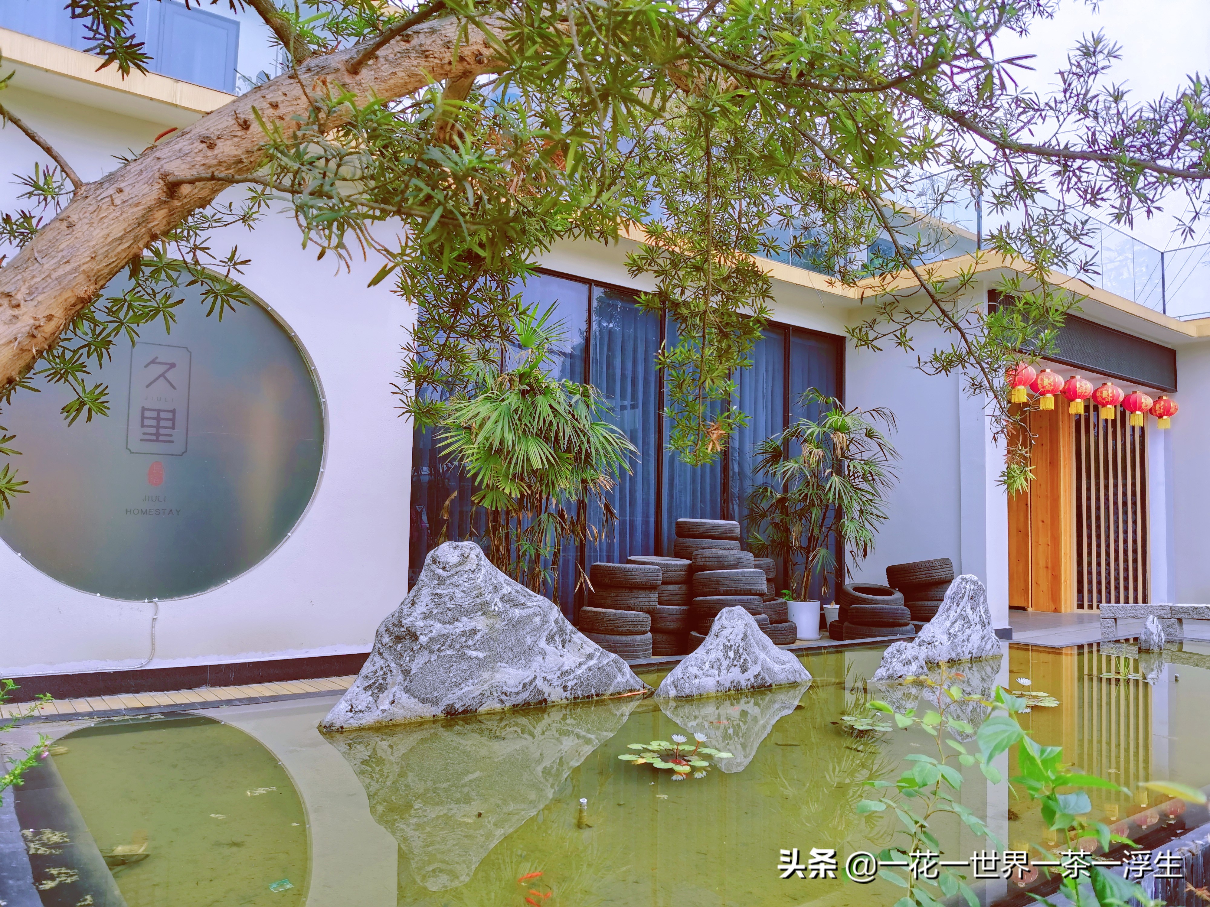 寻找巴适的成都小院(2)