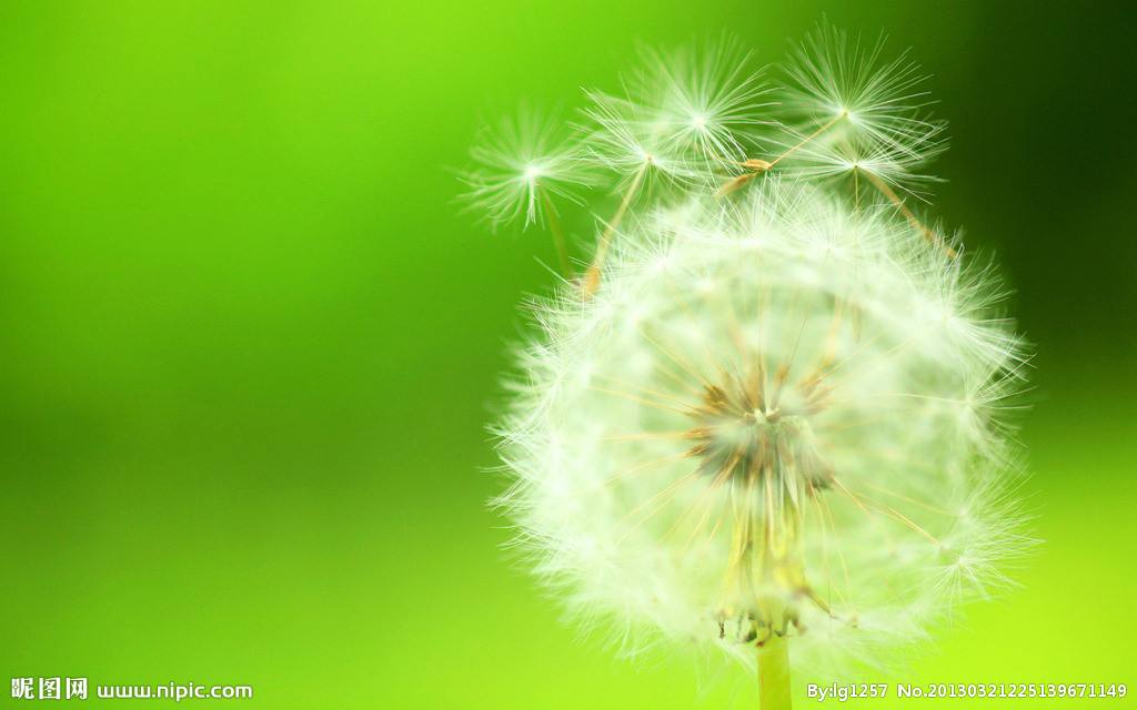 人品与做人德行,做事看人品做人看德行