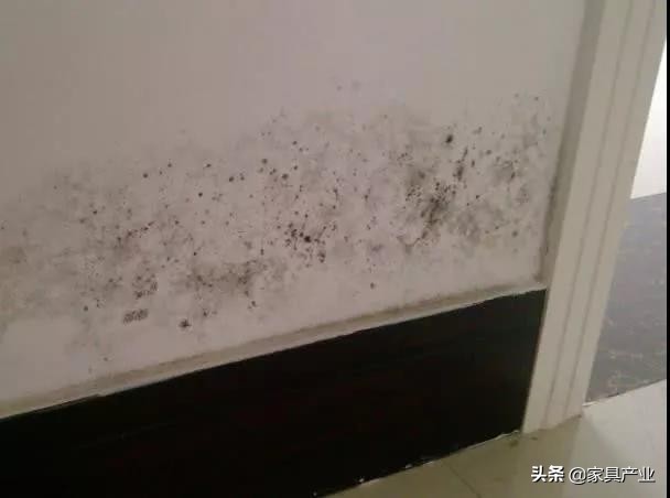 南方人家里一年四季都在发霉？这份除霉秘籍快收好