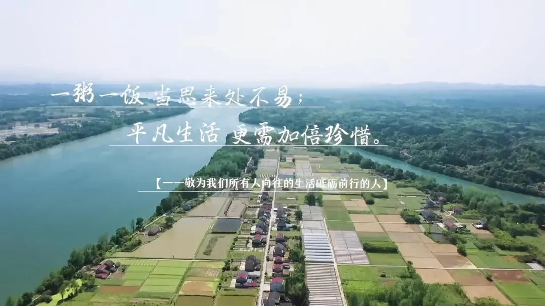 向往的生活1-6季文案,向往的生活一屋两人三餐四季文案