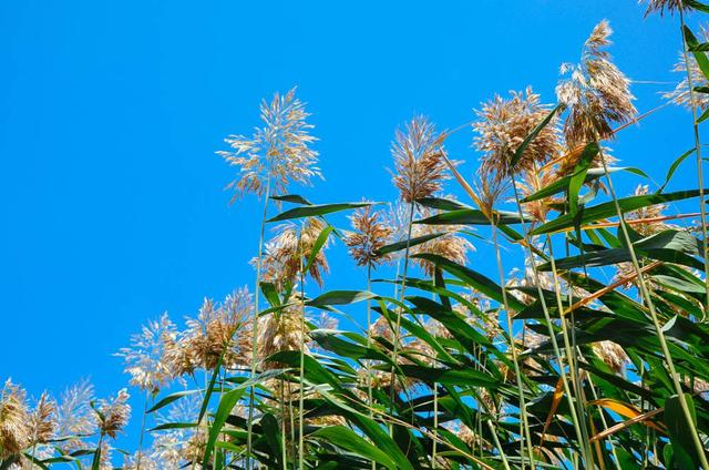 银川必去的五大景点水洞沟,最近银川水洞沟旅游视频