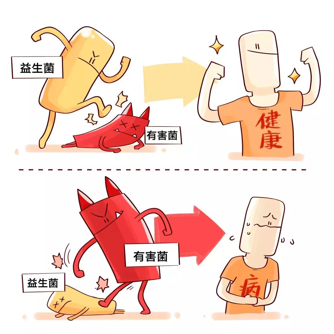 哪种牌子的益生菌好吸收又健康,便宜益生菌和贵的益生菌的区别