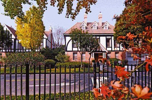 上海太魔幻了,上海太魔幻