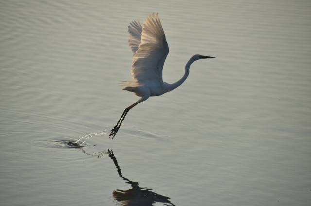 半汤温泉旅游攻略,半汤温泉养生度假区有哪些温泉