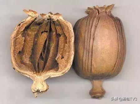 卤菜又香又好吃,卤菜加风味料