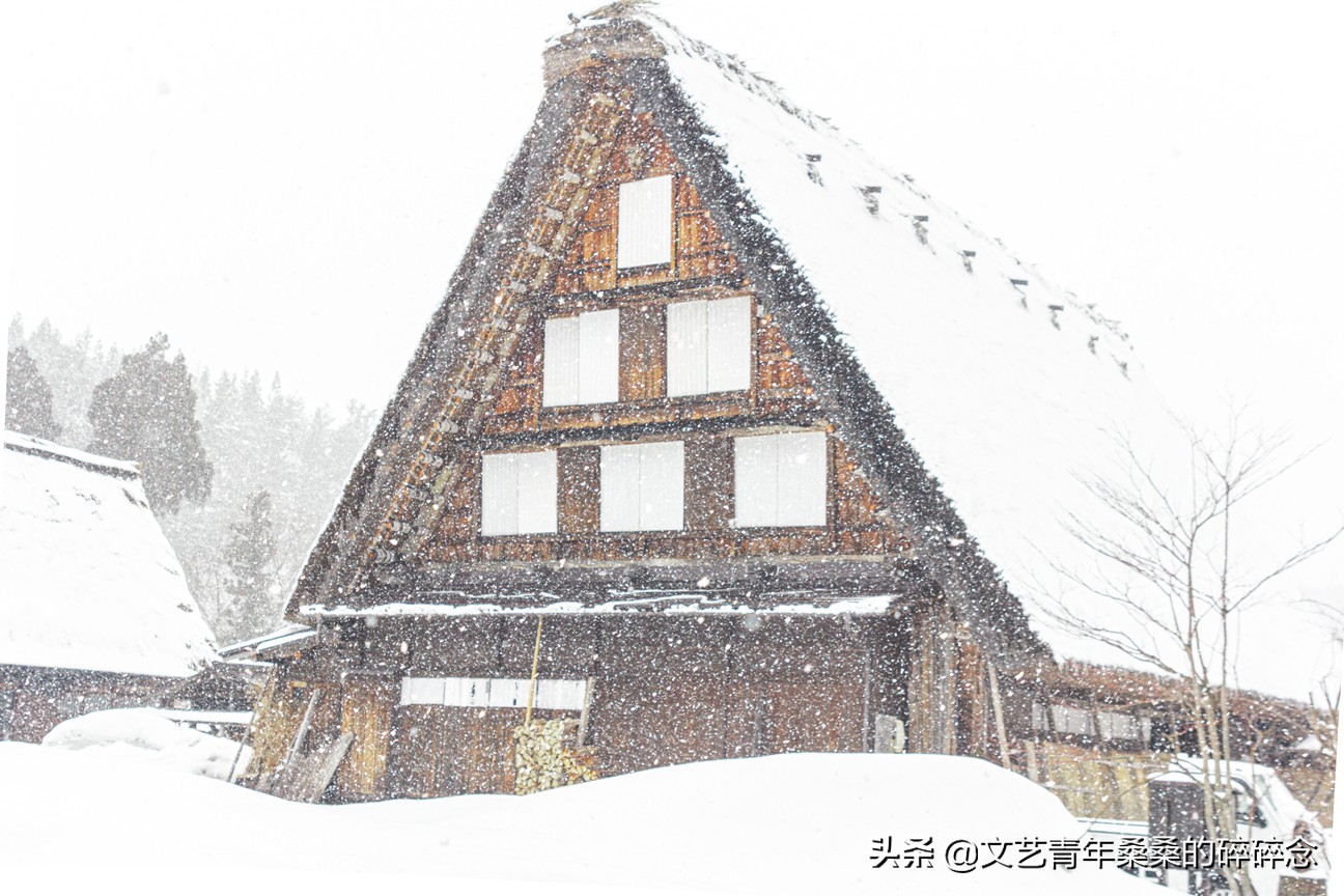 冬季日本的自驾游攻略,冬日游日本名古屋攻略